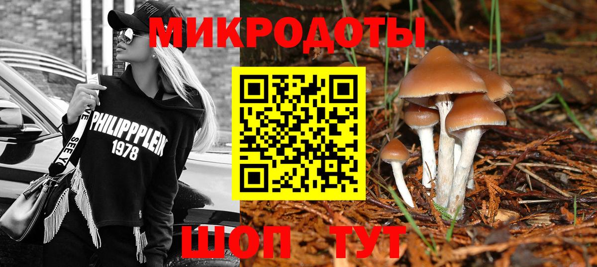 наркотики  Вход с VPN  Хабаровск  Псилоцибиновые грибы GOLDEN TEACHER 